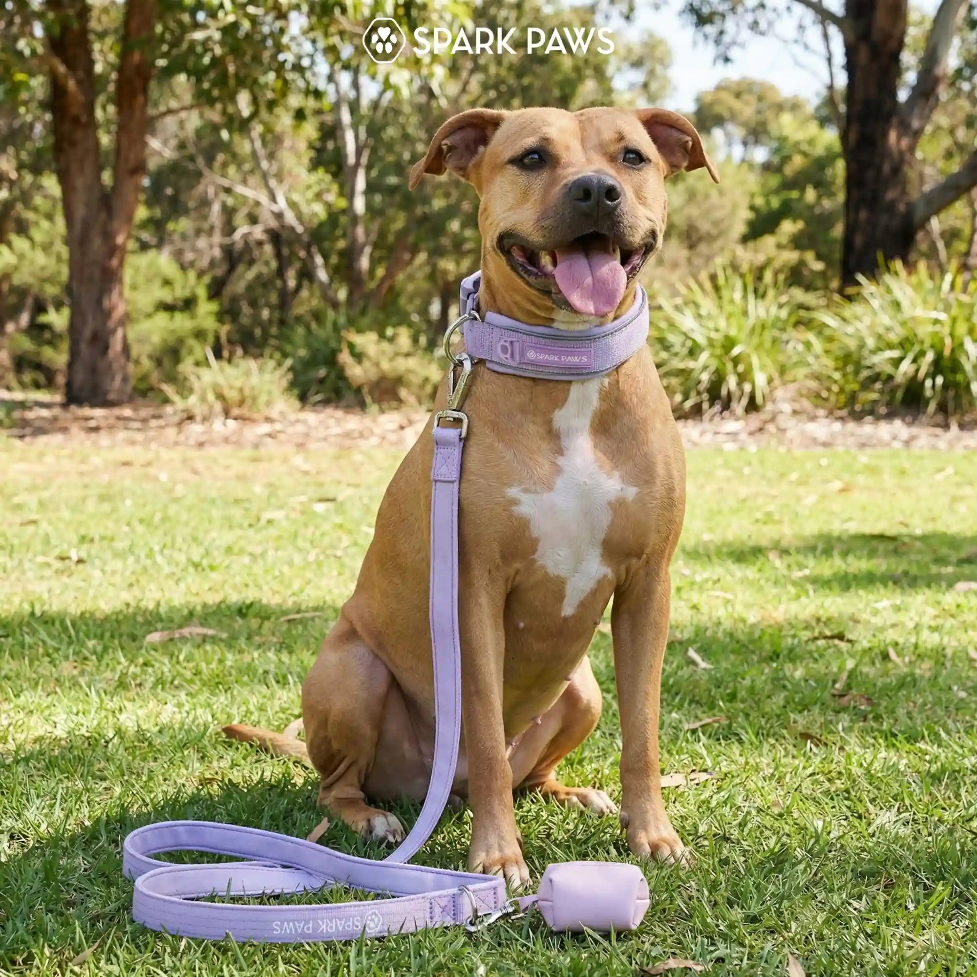 Martingale Collar Sets