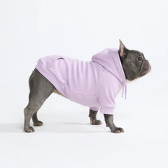 Essential Dog Hoodie - Lavender