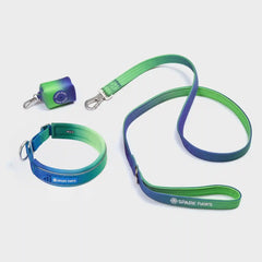Martingale Collar Set - Lime Wave