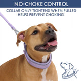 Martingale Collar and Multipurpose Leash Sets