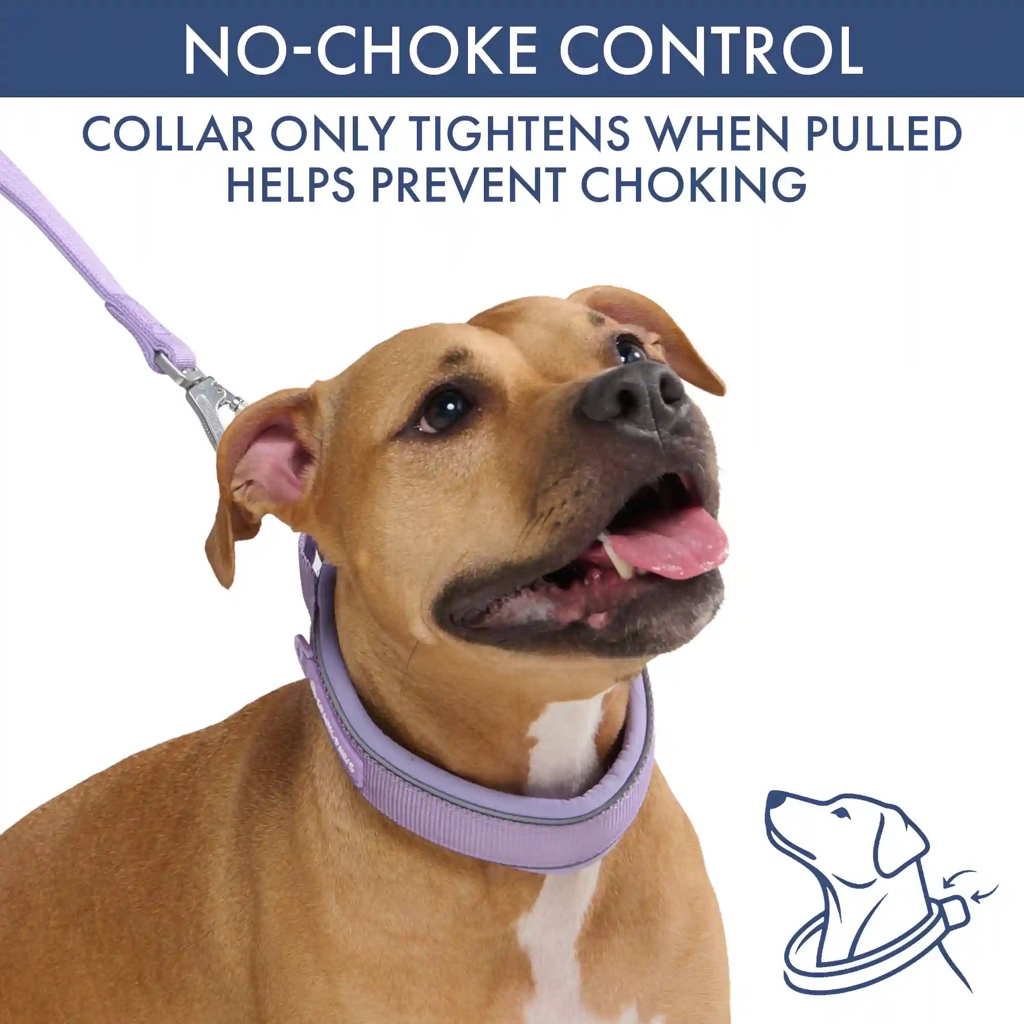 Martingale Collar and Multipurpose Leash Sets