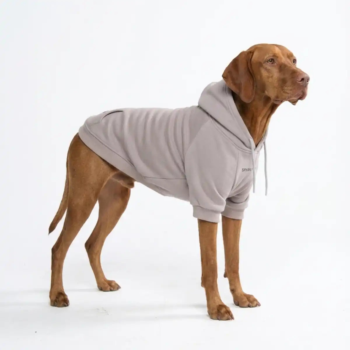 Essential Dog Hoodie - Clay