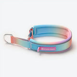 Cushioned Martingale Collar - Pastel Icing