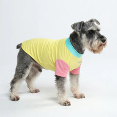 Sunblock Dog T-Shirt - Yuzu