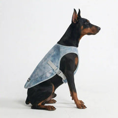 Dog Cooling Vest - Ice Blue (2)