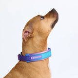 Cushioned Martingale Collar - 90s Retro