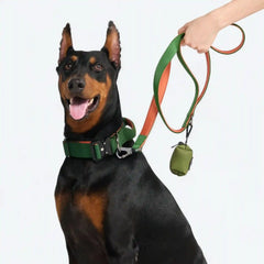 Comfort Control Collar - Green Orange