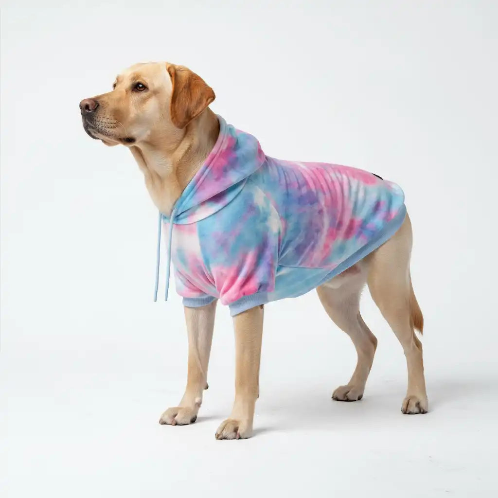 Velvet Dog Hoodie - Snow Cone