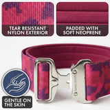 Comfort Control Dog Collar Sets