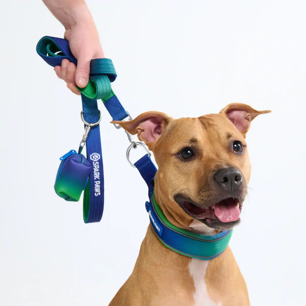 Cushioned Martingale Collar - Lime Wave