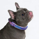 Cushioned Martingale Collar - 90s Retro