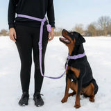 Martingale Collar and Multipurpose Leash Sets