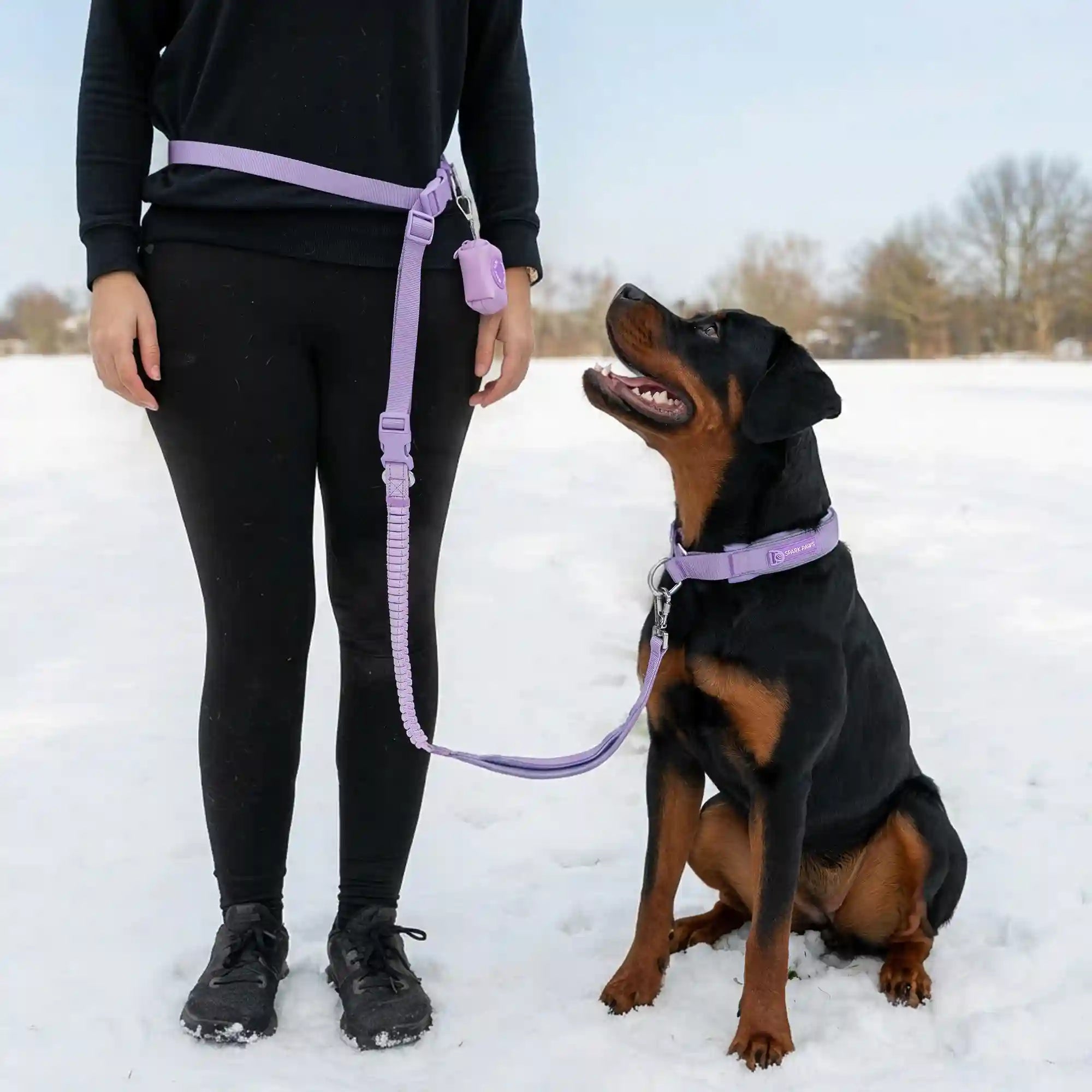 Martingale Collar and Multipurpose Leash Sets