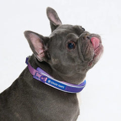 Cushioned Martingale Collars