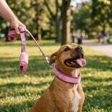 Martingale Collar Sets