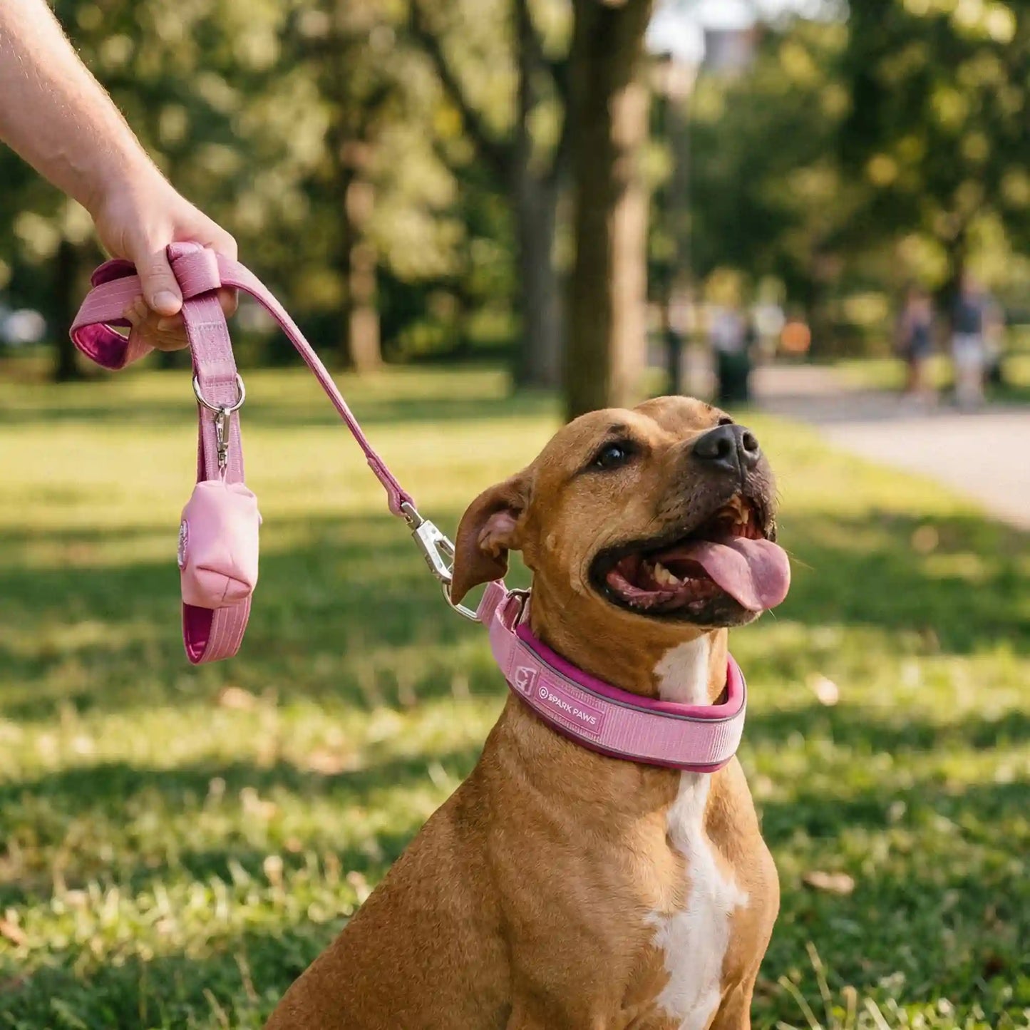 Martingale Collar Set - Pink