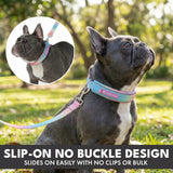Martingale Collar and Multipurpose Leash Sets