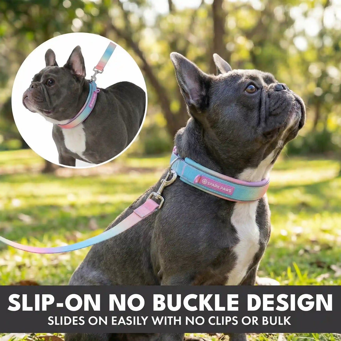 Martingale Collar and Multipurpose Leash Set - Pastel Icing