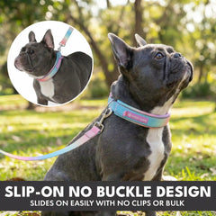Martingale Collar and Multipurpose Leash Set - Pastel Icing
