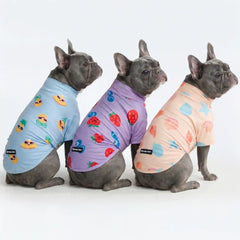 Sunblock Dog T-Shirt (3-pack) - Seashell, Berries, Pineapple