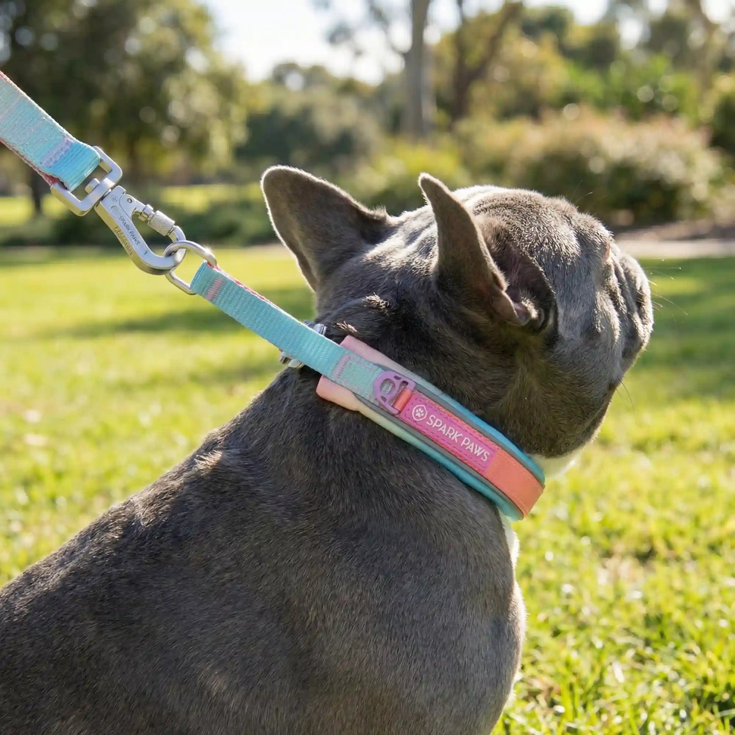 Martingale Collar Sets