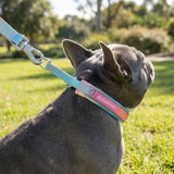 Martingale Collar Sets