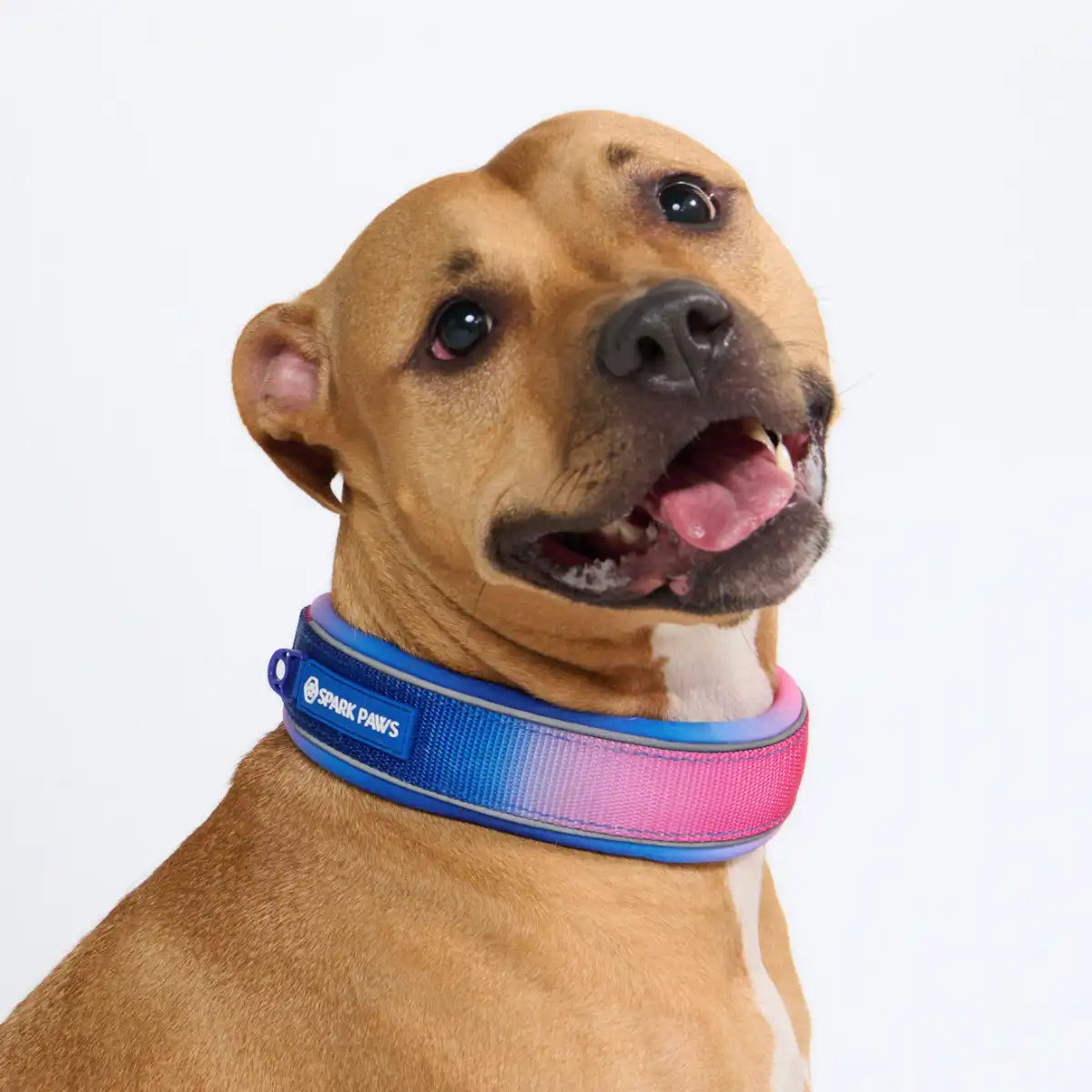 Cushioned Martingale Collar - Snow Cone