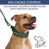 Martingale Collar and Multipurpose Leash Sets