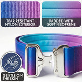 Comfort Control Collar Set - 90s Retro