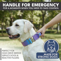 Comfort Control Collar and Multipurpose Leash Set - 90s Retro