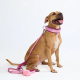 Cushioned Martingale Collar - Pink