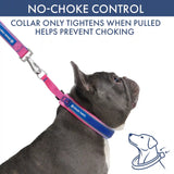 Martingale Collar Set - Snow Cone