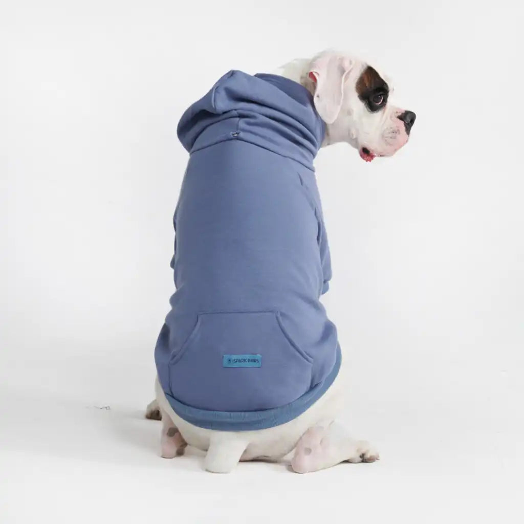 Essential Dog Hoodie - Slate Blue