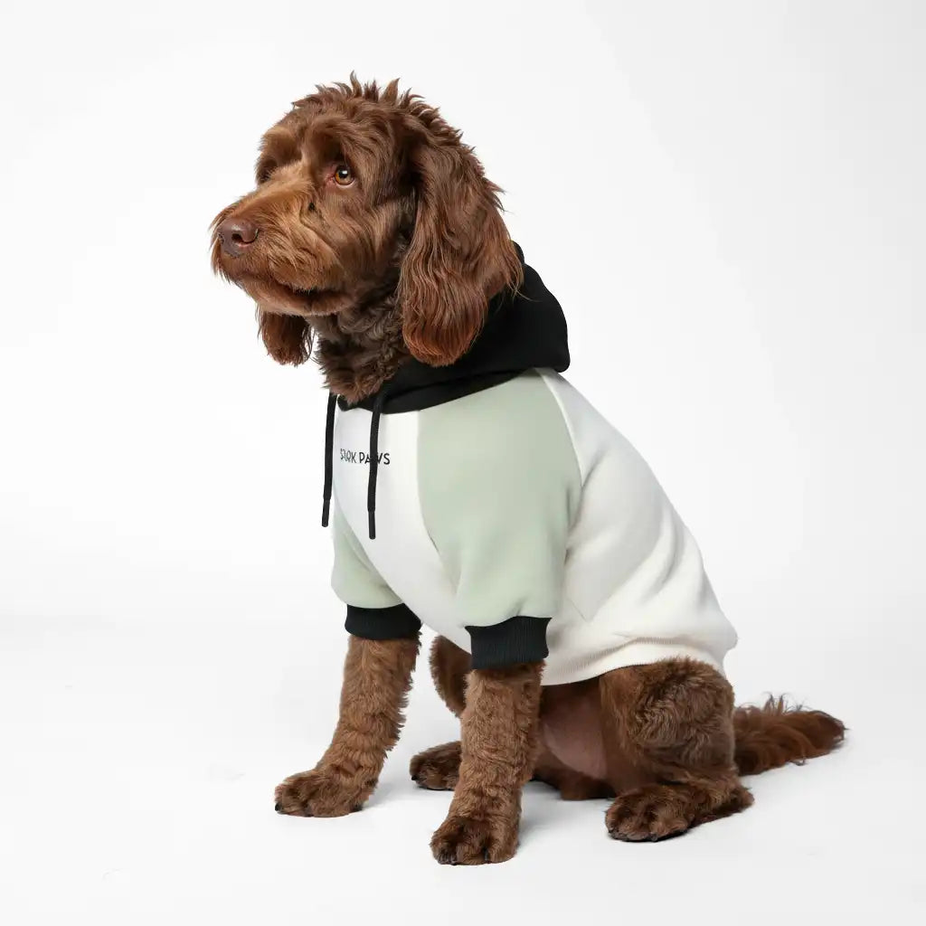 Olive Cream Dog Hoodie