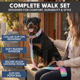 Martingale Collar Sets
