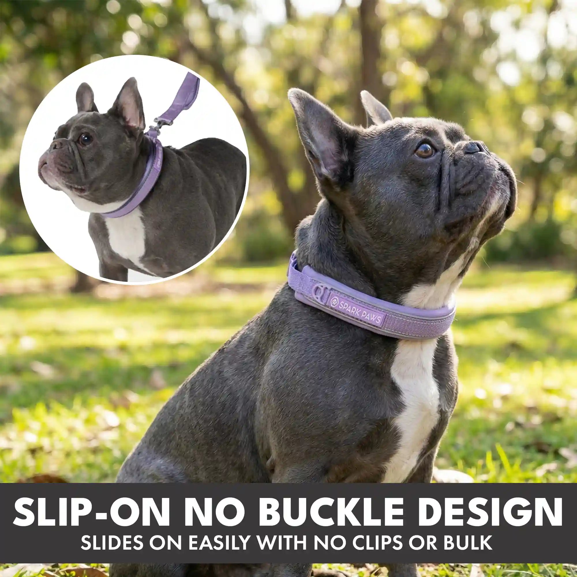 Martingale Collar and Multipurpose Leash Sets