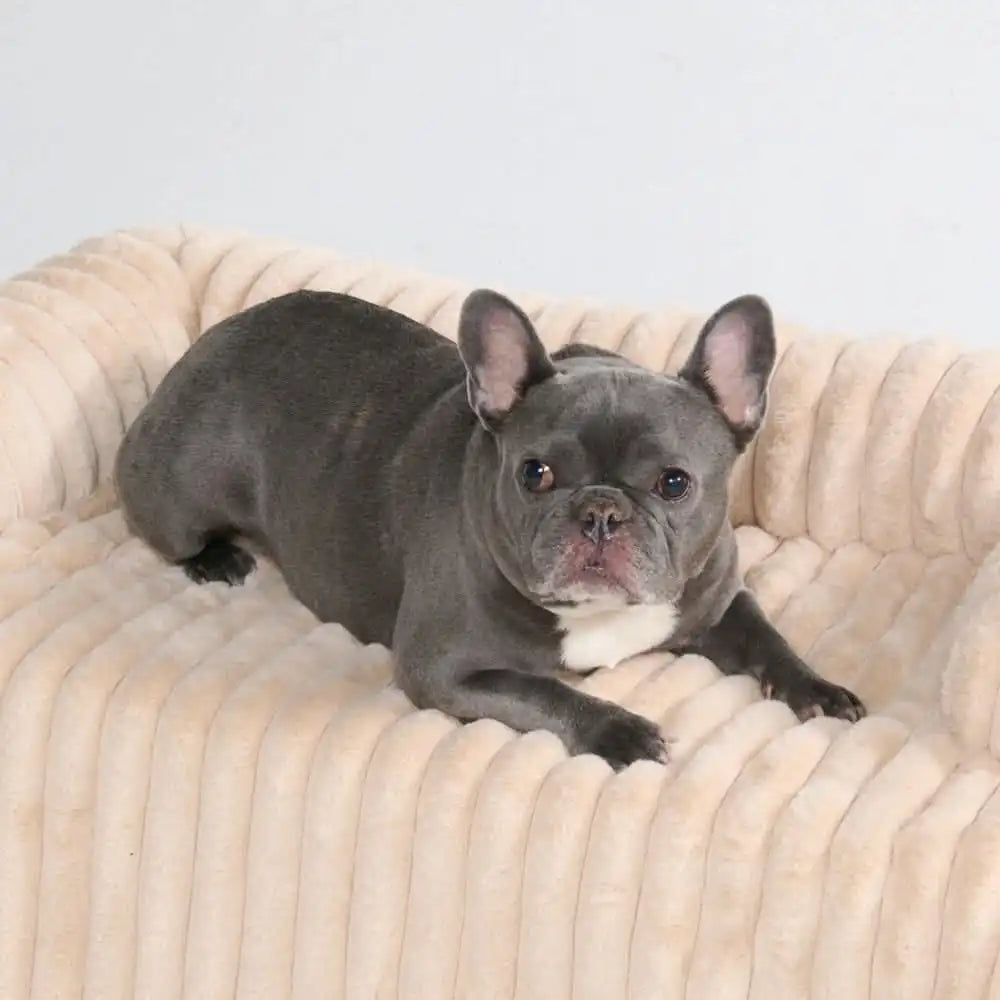 Luxury Couch Cover Dog Beds