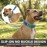 Martingale Collar Set - Lime Wave