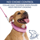 Martingale Collar and Multipurpose Leash Sets