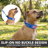 Martingale Collar Set - Snow Cone