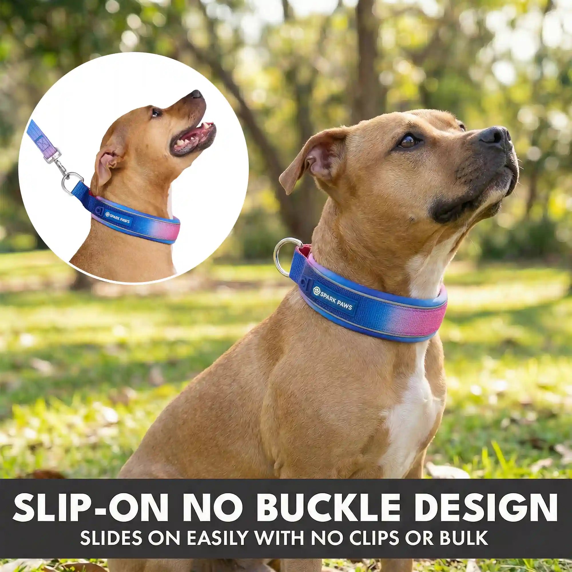 Martingale Collar Set - Snow Cone