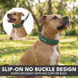 Martingale Collar Sets
