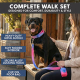 Comfort Control Dog Collar Sets