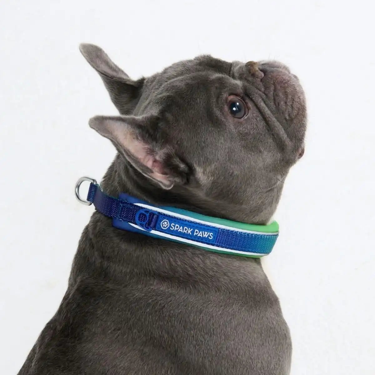 Cushioned Martingale Collar - Lime Wave