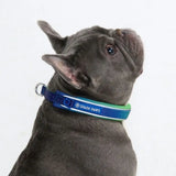 Cushioned Martingale Collar - Lime Wave