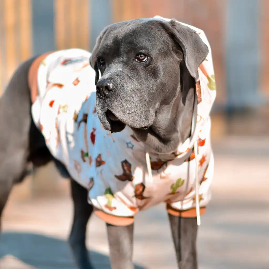 Dog Hoodie Prints