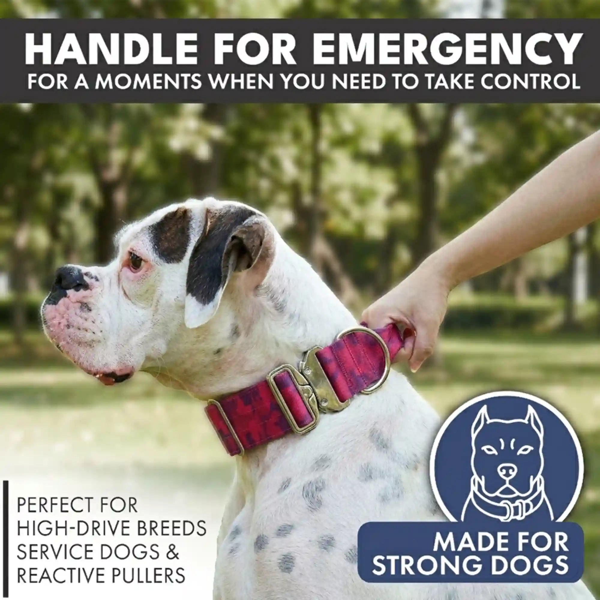 Comfort Control Collar and Multipurpose Leash Set - Fuchsia Camo