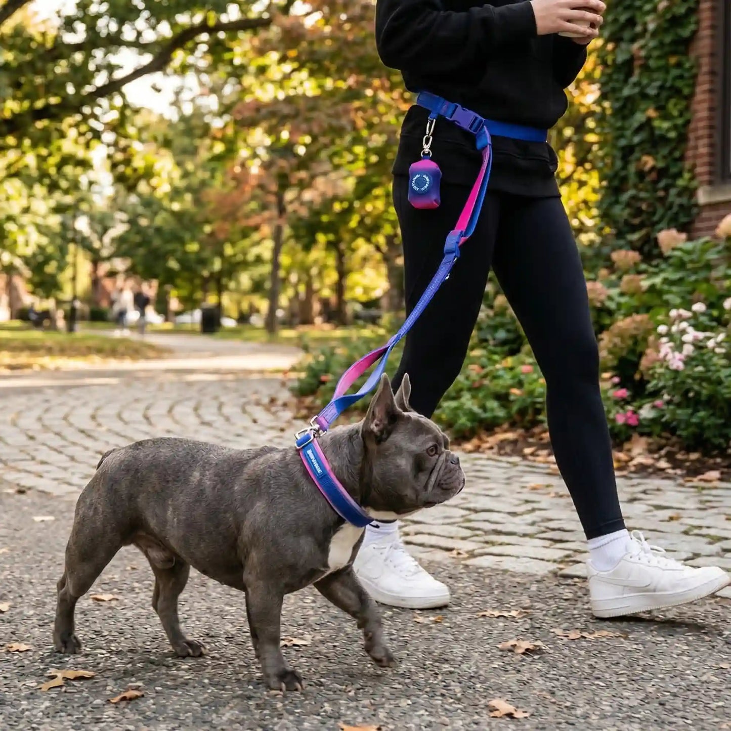 Martingale Collar and Multipurpose Leash Sets