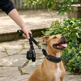 Martingale Collar Sets