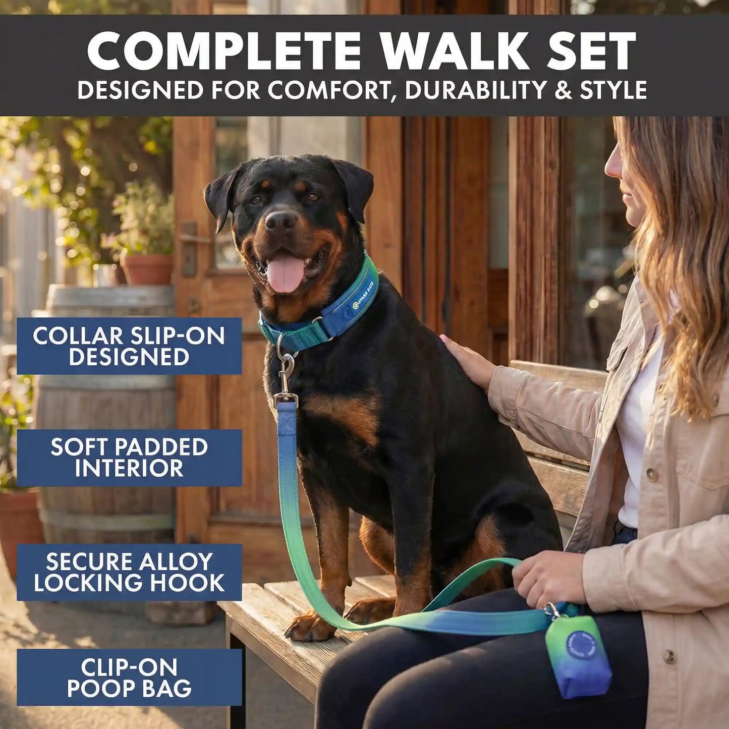 Martingale Collar Set - Lime Wave